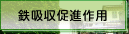 鉄吸収促進作用