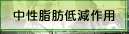 中性脂肪低減作用