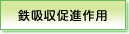 鉄吸収促進作用