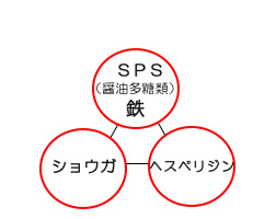 温もりをめぐらせるトリプルパワー