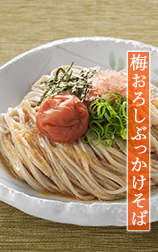 ぶっかけつゆシリーズ ポーションタイプ 家庭用商品情報 ヒガシマル醤油 ぶっかけつゆシリーズ ポーションタイプ 家庭用商品情報 ヒガシマル醤油