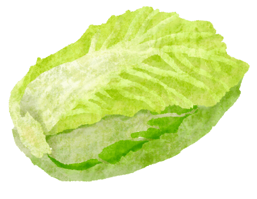 白菜